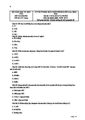 Đề tham khảo thi THPT Quốc gia môn Sinh học năm 2020 - Bộ giáo dục và đào tạo